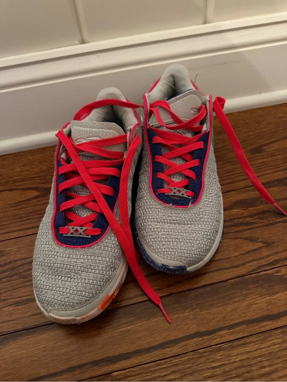 Nike LeBron Basketball shoes